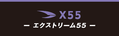 x55 -エクストリーム55-