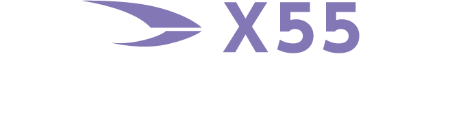 x55 -エクストリーム55-