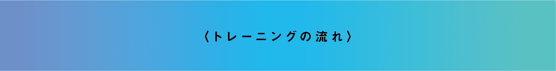 トレーニングの流れ