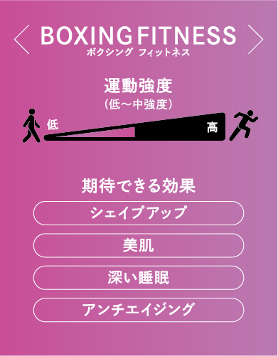 ボクシング フィットネス