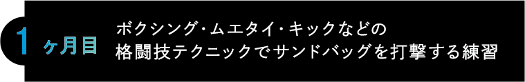 1ヶ月目 ボクシング・ムエタイ・キックなどの格闘技テクニックでサンドバッグを打撃する練習