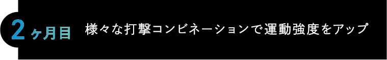 2ヶ月目 様々な打撃コンビネーションで運動強度をアップ