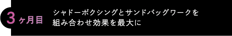 3ヶ月目 シャドーボクシングとサンドバッグワークを組み合わせ効果を最大に