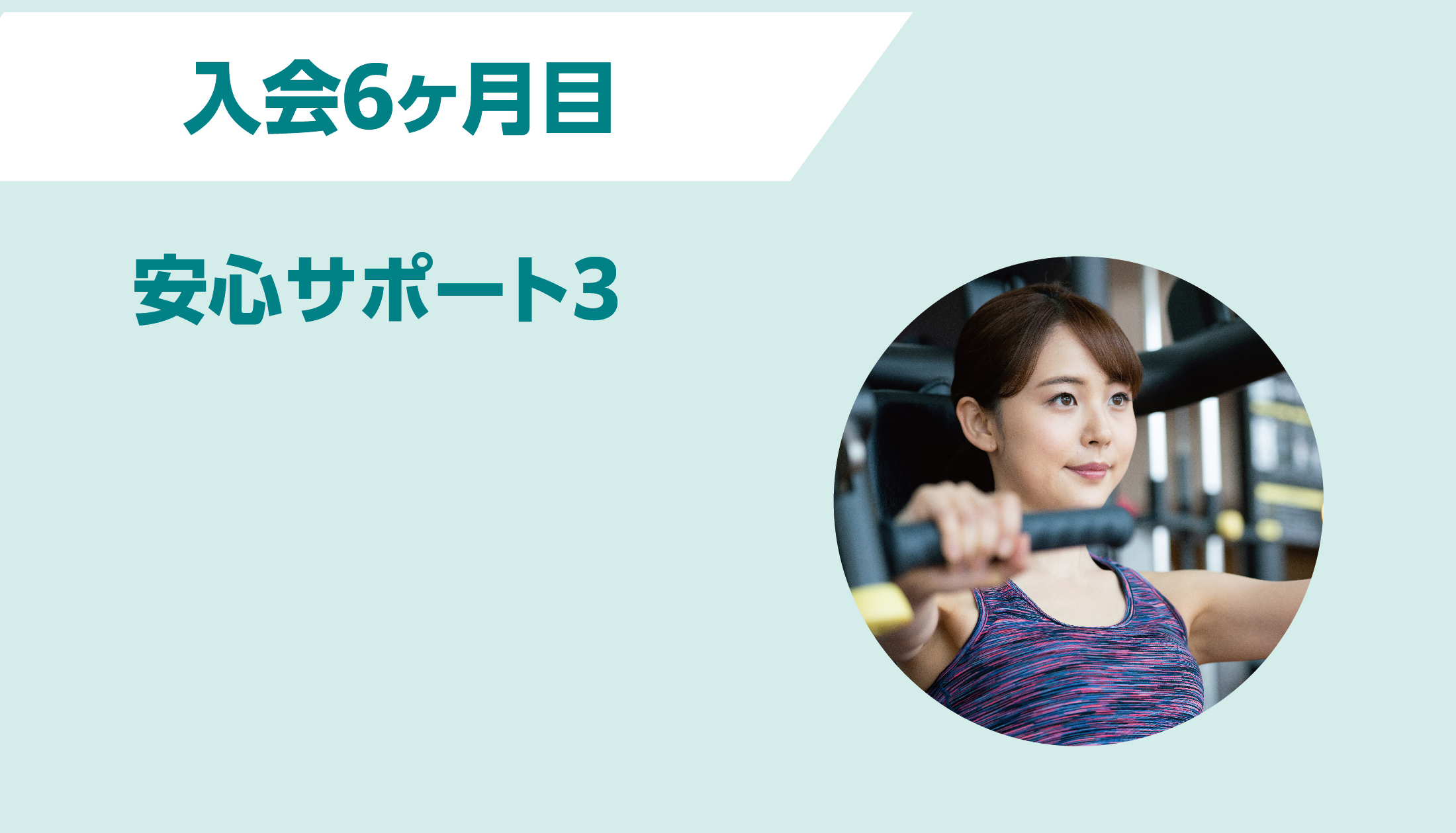 安心サポートロードマップ 入会6ヶ月目