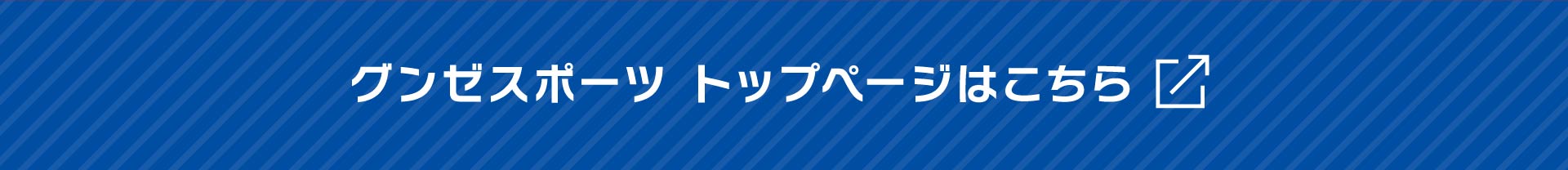 グンゼスポーツトップページはこちら