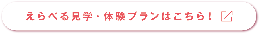 選べる見学・体験プランはこちら