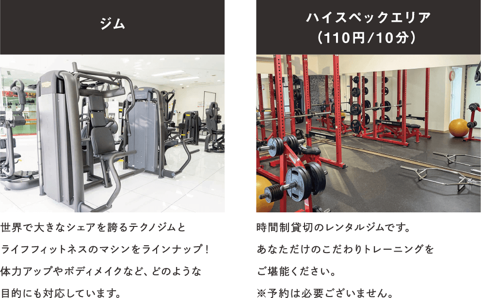 ミニマム基本プラン×充実プログラムplus