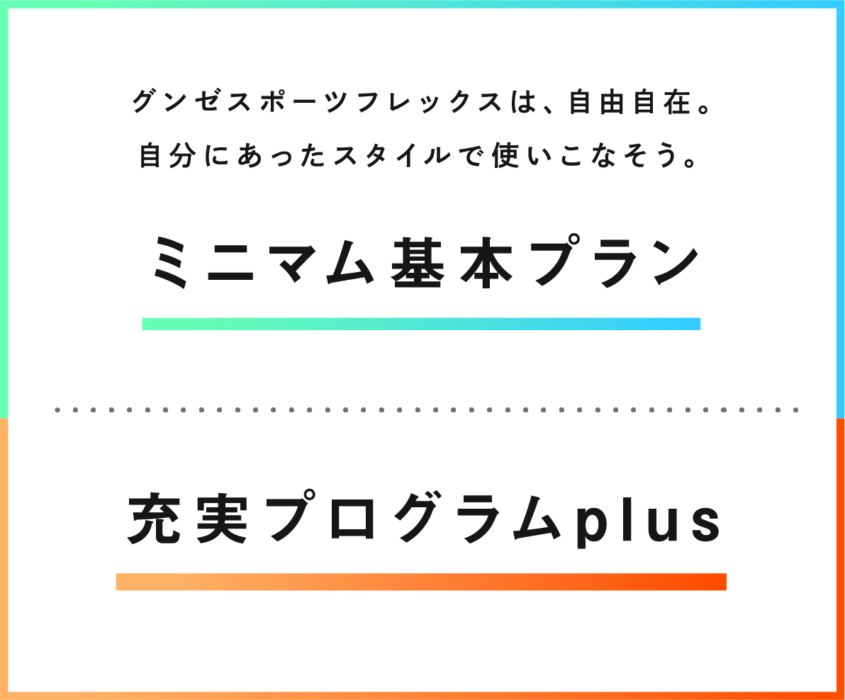 ミニマム基本プラン×充実プログラムplus
