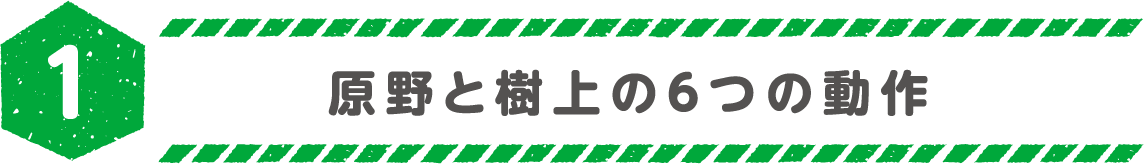 1.原野と樹上の6つの動作