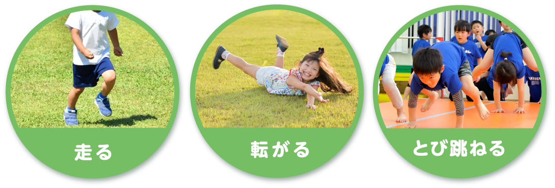 走る 転がる とび跳ねる