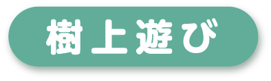 樹上遊び