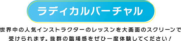 ラディカルバーチャル