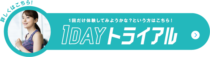 1DAYトライアル